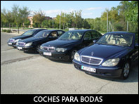 Alquiler de Coches con Conductor