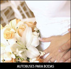 Autobuses para Bodas