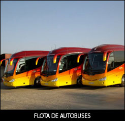 Flota de Autobuses